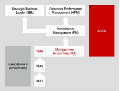 Relational diagram linking Management Accounting (MAFMA) with other exams